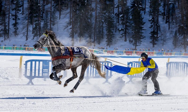 skijoring